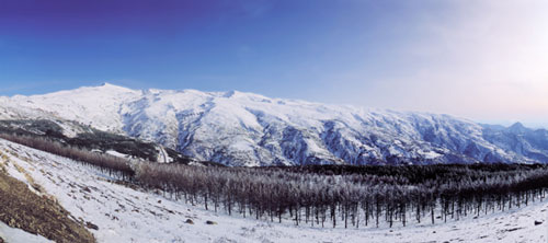 Sierra Nevada